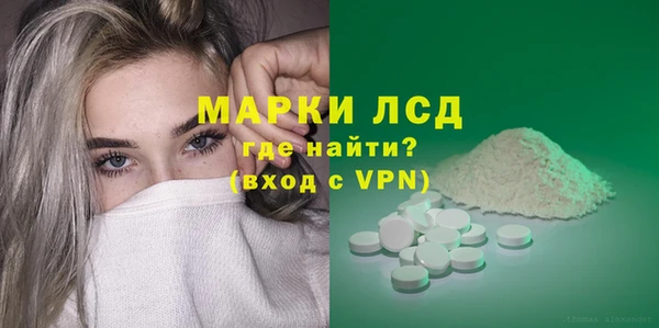 гашик Алексин