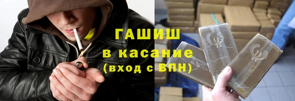гашик Алексин