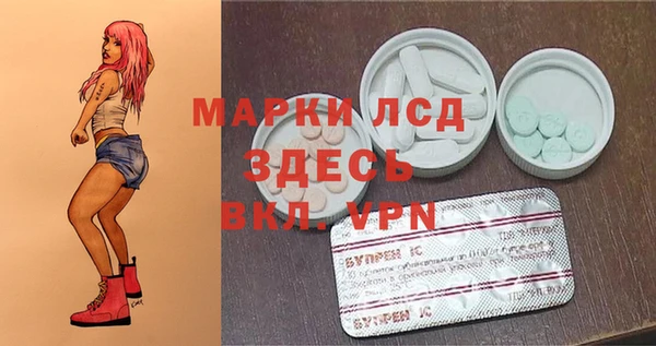 гашик Алексин