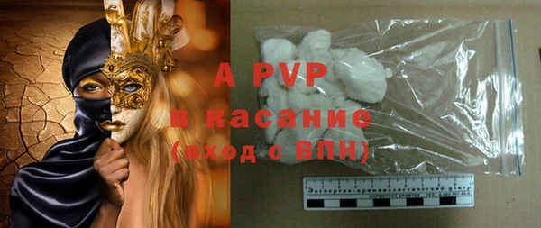 гашик Алексин