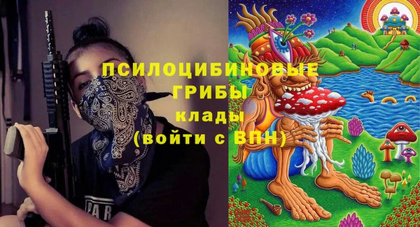 гашик Алексин