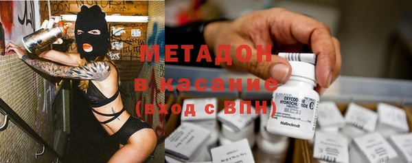 гашик Алексин