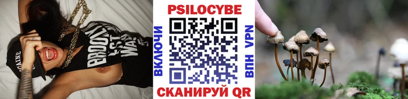 Псилоцибиновые грибы Psilocybe  Сорочинск 